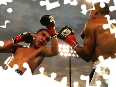 Domingues vs Ortiz, Bokserzy