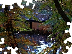 Drzewa, Rzeka, Most