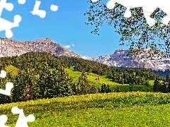 Las, Polana, Góry