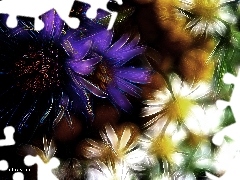 Polne, Fractalius, Kwiaty