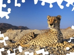 Skały, Gepard, Niebo