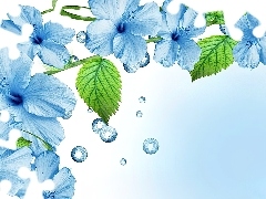 Art, Hibiskus, Kwiaty, Błękitny