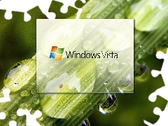 Krople, Łodyga, Windows, Wody, Vista