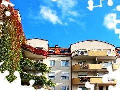 Winem, Dzikim, Budynki, Porośnięte
