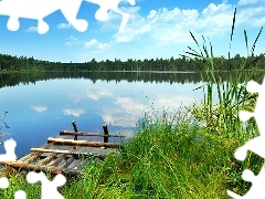 Jezioro, Las, Kaszuby