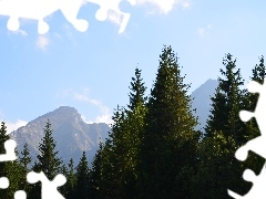 Góry, Niebo, Drzewa