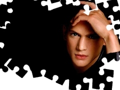 ręka, Wentworth Miller