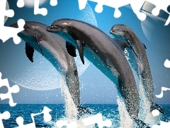 Woda, Planety, Delfiny