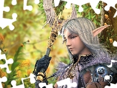 Chaos, Last, Elf, Medalion