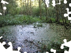 Las, Bagno