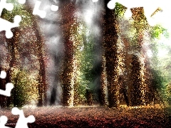 Kolory, Fractalius, Las