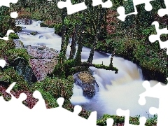 Rzeka, Konary, Leśna