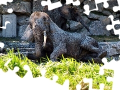 Zoo, Słoń