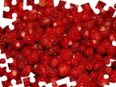 Poziomki