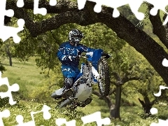 Motocyklista, Cross, Drzewa, Trawy