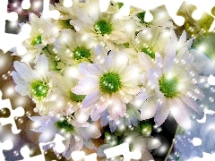 Grafika, Światła, Margerytki, Refleksy