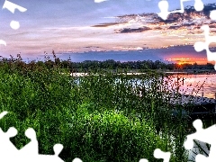 Słońca, Zachód, Szuwary, Jezioro