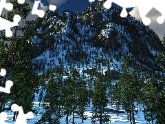 Śnieg, Świerki, Góra