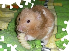 Podjadanie, Pościel, Chomik, Kluska