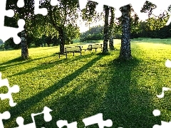 Ławeczki, Trawa, Drzewa, Park, Brzozy