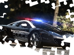 Need for Speed Hot Pursuit, Policja