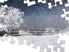 Śnieg, Drzewo, Zima, Ogrodzenie, Ośnieżone