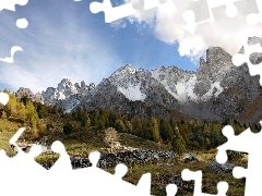 Drzewa, Chmury, Góry